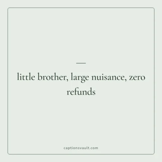 Brother Captions For Instagram card: little brother, large nuisance, zero refunds